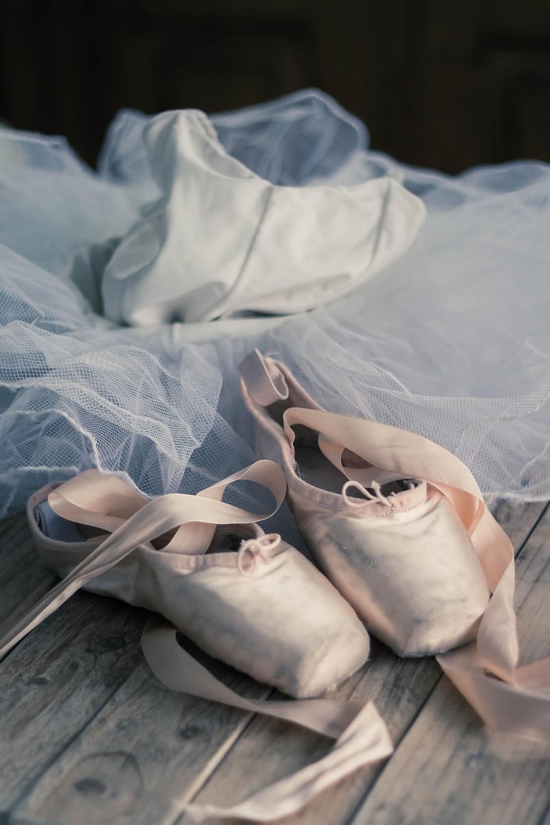 Ballet Inspired Routines